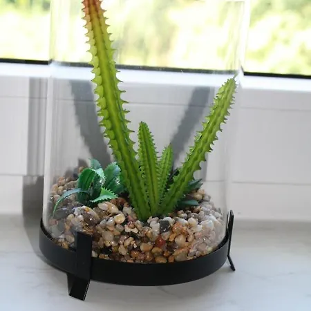 アパート Harz-traum.2 Gernrode (Saxony-Anhalt)